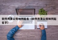 软件开发公司如何起名（软件开发公司如何起名字）