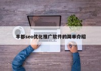 丰都seo优化推广软件的简单介绍