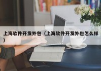 上海软件开发外包（上海软件开发外包怎么样）