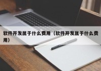 软件开发属于什么费用（软件开发属于什么费用）