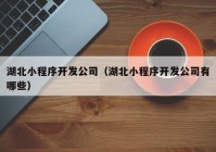 湖北小程序开发公司（湖北小程序开发公司有哪些）