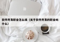 软件开发职业怎么填（关于软件开发的职业叫什么）