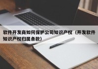 软件开发商如何保护公司知识产权（开发软件知识产权归属条款）