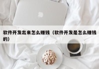 软件开发出来怎么赚钱（软件开发是怎么赚钱的）